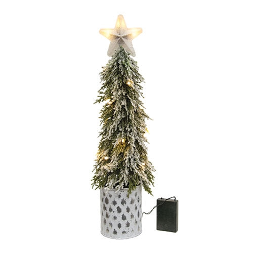 Frosted Christmas Tree w/Star in Galvanized Bucket