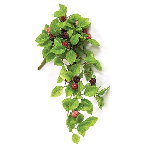 Fresh Raspberries Hanging Bush - 22"