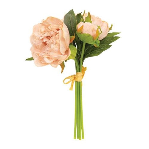 Floret Peony Bundle 12" Shell