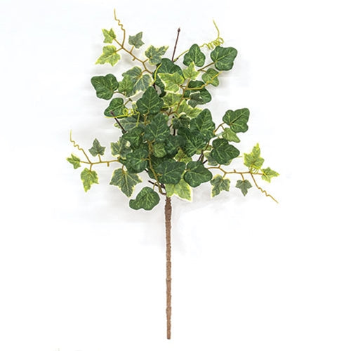 Mixed Ivy & Vine Spray - 18"