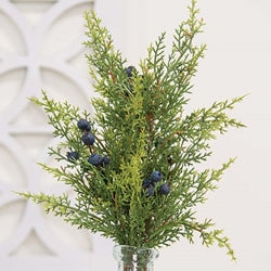 Blue Berry & Cedar Bush 17"