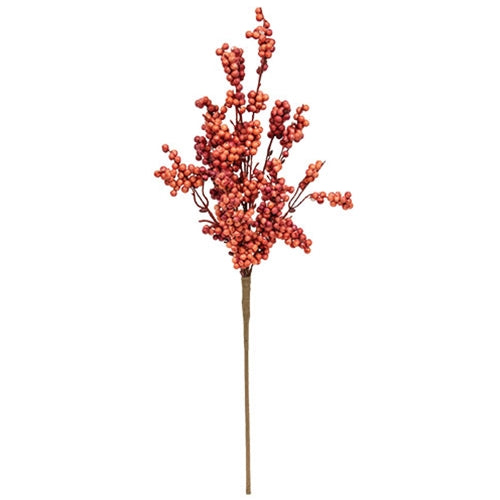 Canella Berries Spray 25" Coral