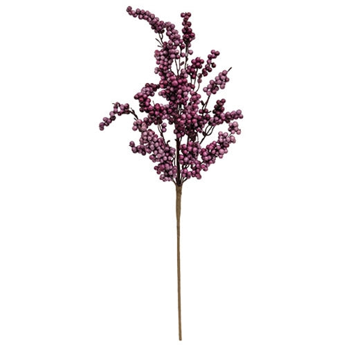 Canella Berries Spray 25" Plum