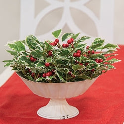 Mini Holly Leaves & Berries Half Sphere 10"