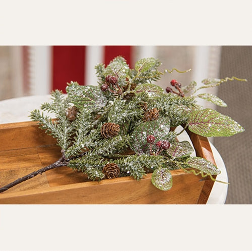 Snowy Fittonia Pine & Berries Pick 15"