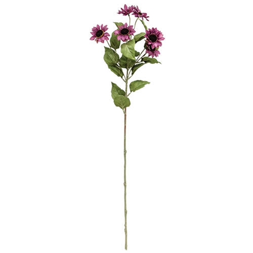 Plum Mini Sunflower Spray 30"