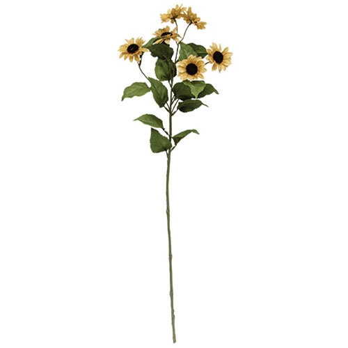 Teastain Mini Sunflower Spray 30"