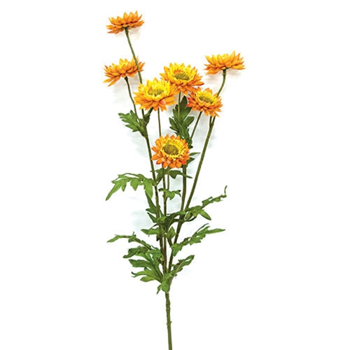 Golden Strawflower Spray 25"