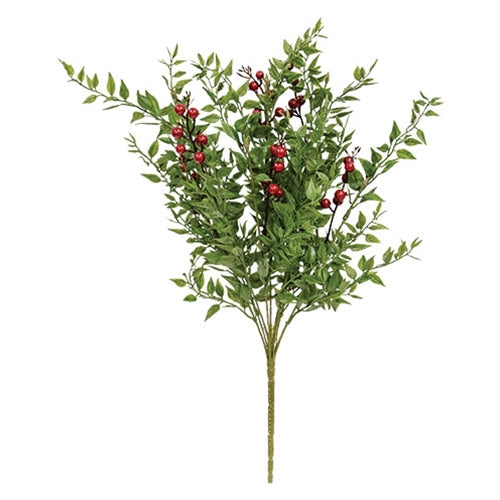 Lady Ruscus & Berries Bush 12"