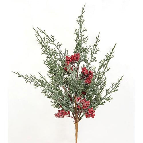 Graceful Cedar Berry Bush 19"