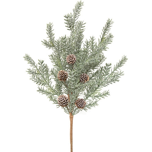 First Frost Pine Spray w/Cones 19"