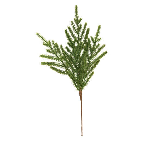 Evergreen Norfolk Pine Spray 18"