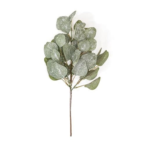 Frosted Dollar Eucalyptus Leaf Spray 19"