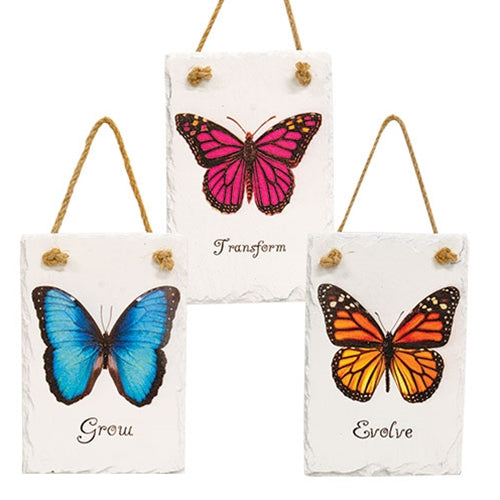 Butterfly Growth Painted Slate 3 Asstd.