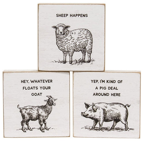 Sheep Happens Square Block - 3 Asstd.