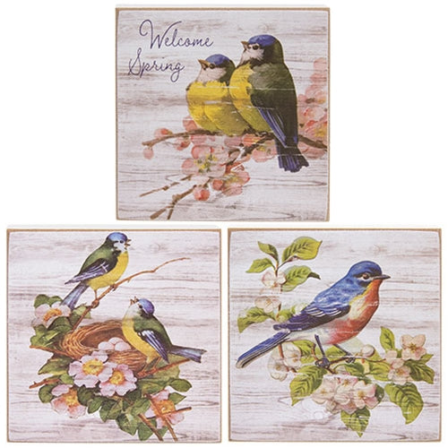 Welcome Spring Bluebird Square Block - 3 Asstd.