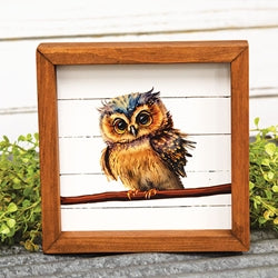 Baby Boy Owl Shadowbox Frame
