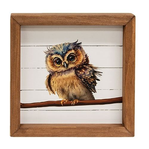 Baby Boy Owl Shadowbox Frame