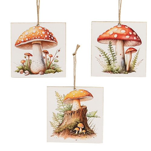 Woodland Mushroom Square Ornament 3 Asstd.