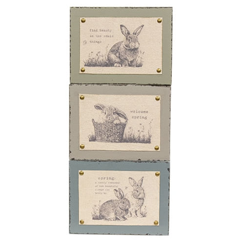 Spring Bunny Fabric Print Block - 3 Asstd.