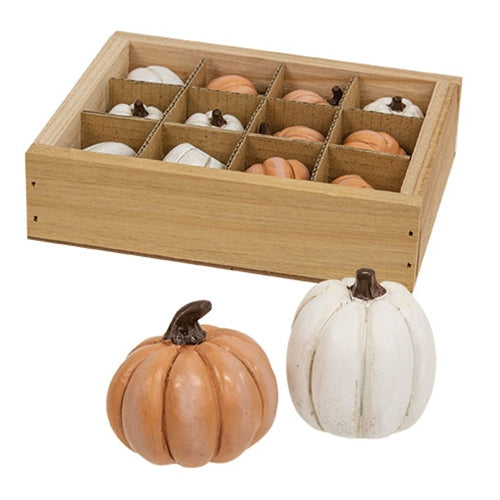 12/Set Mini Resin Pumpkins in Crate