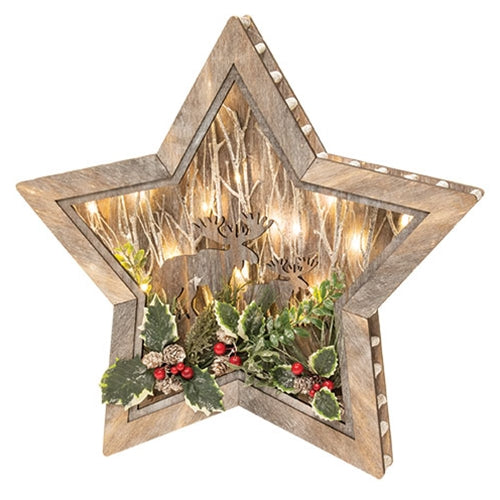 Wooden LED Star Cutout w/Deer & Holly 19"