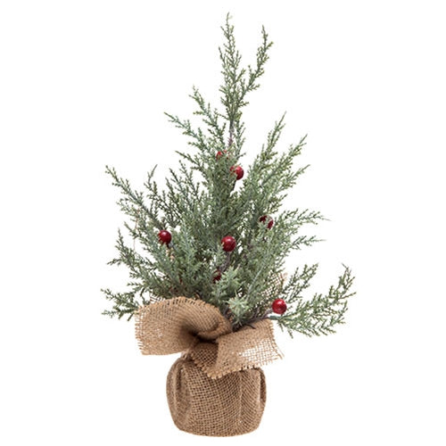 Cypress Pine Tree in Burlap Base w/Red Berries 14.25"