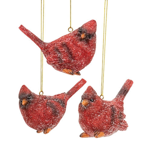 Glittered Resin Sitting Cardinal Ornament 3 Asstd.