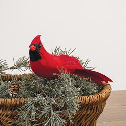 Red Feathered Cardinal Clip 10"