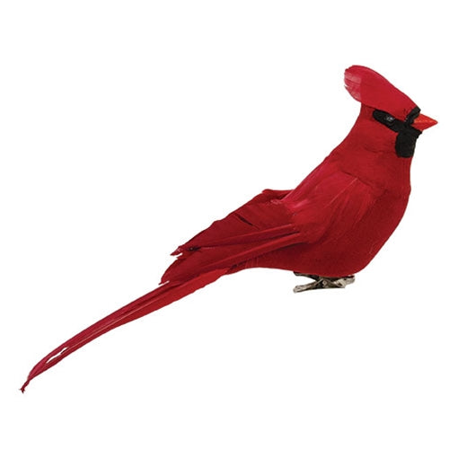 Red Feathered Cardinal Clip 12"