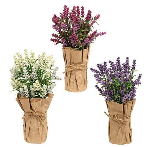 Paper Wrapped Lavender Pot 3 Asstd.