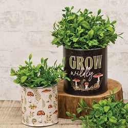 2/Set - Grow Wildly Mushroom Buckets