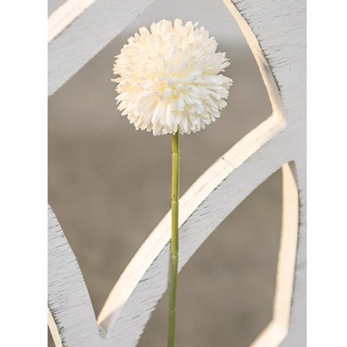 Pompom Stem White