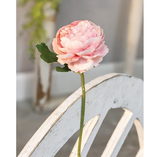 Peony Stem Blush