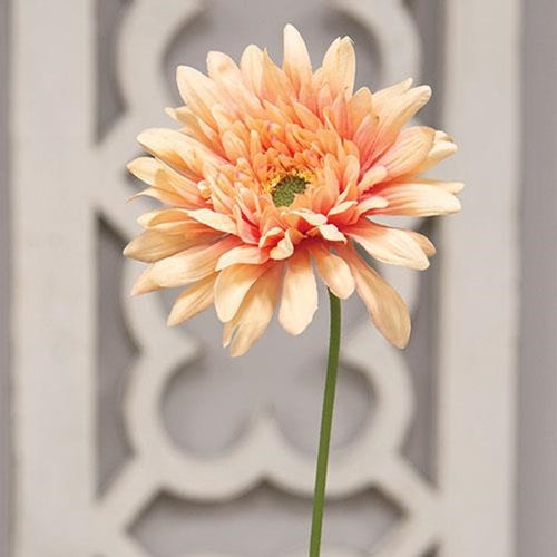 Blooming Daisy Stem Dark Pink