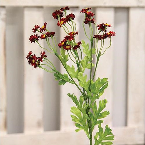 Chamomile Flower Spray Red