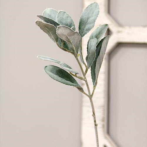 Frosted Lamb's Ear Pick