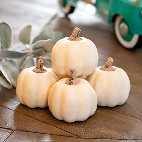 5/Set Mossy Stem Cream Pumpkins