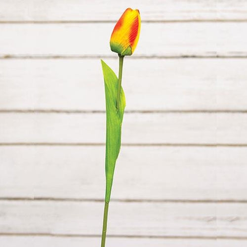 Sunset Tulip Stem 15.5"