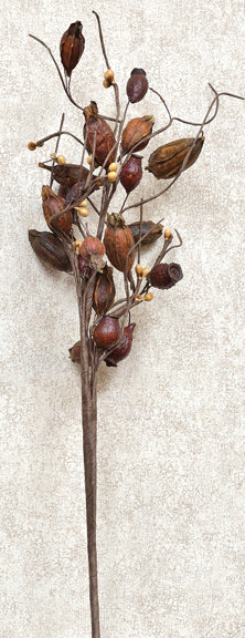 Dried Rose Hip Pick