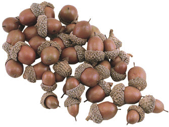 Acorns 40/Pkg.