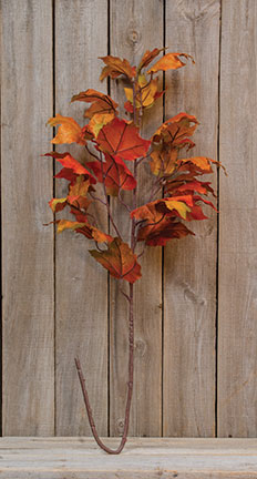 Fall Maple Leaves Stem