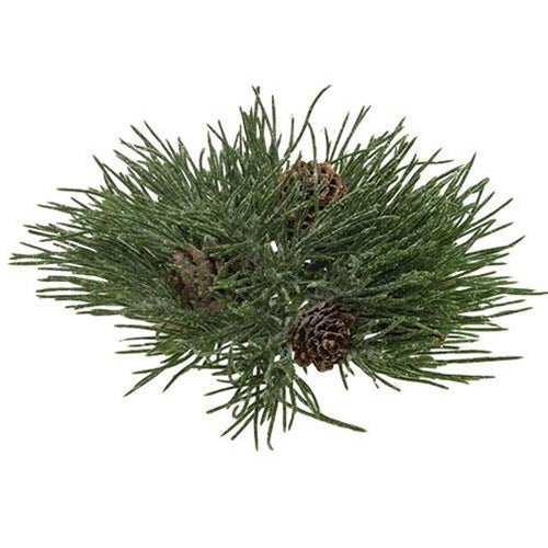 Mugo Pine Orb