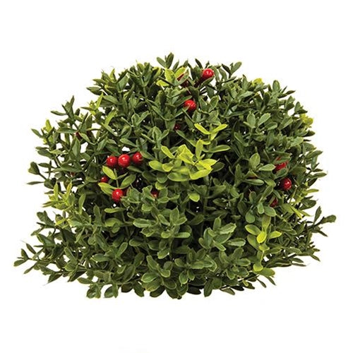 New England Boxwood With Berries Half Sphere 8"