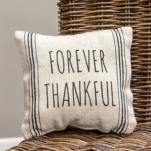 Forever Thankful Striped Natural Pillow