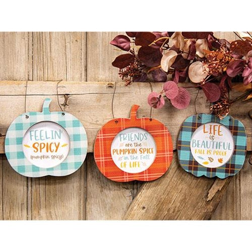 Fall Is Proof Plaid Pumpkin Hanger 3 Asstd.