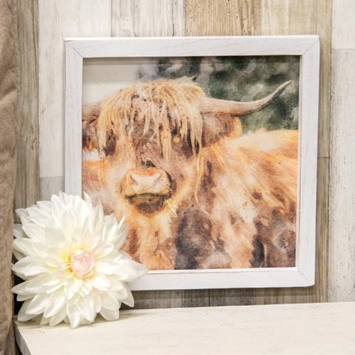 Shaggy Steer Framed Portrait