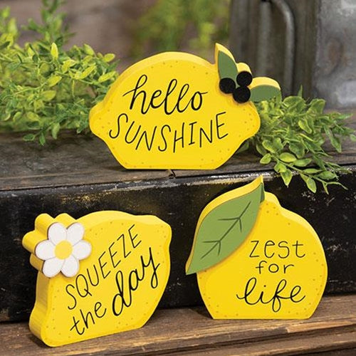 3/Set Lemon Sayings Chunky Sitters