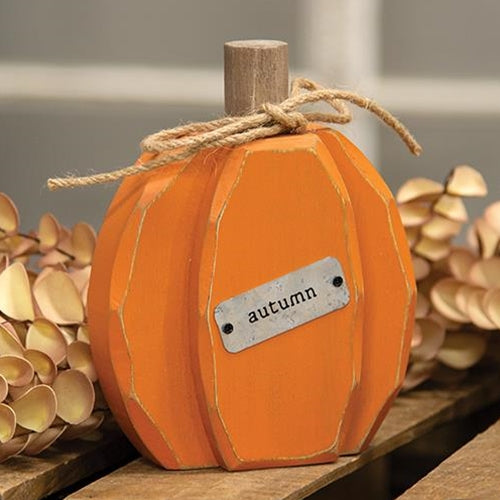 Orange Autumn Pumpkin Chunky Sitter