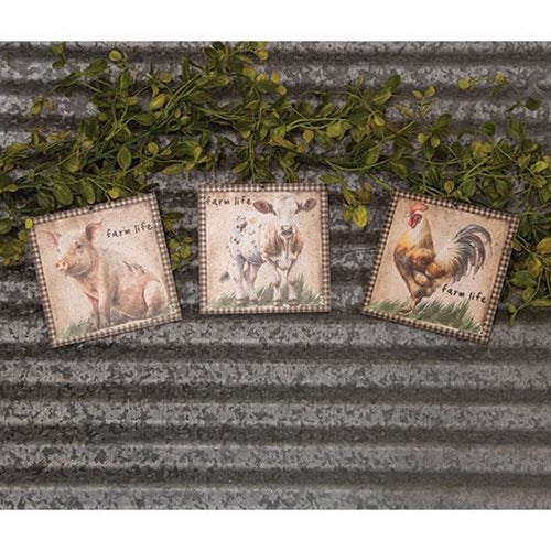 Farm Life Animal Portrait Square Ornament 3 Asstd.